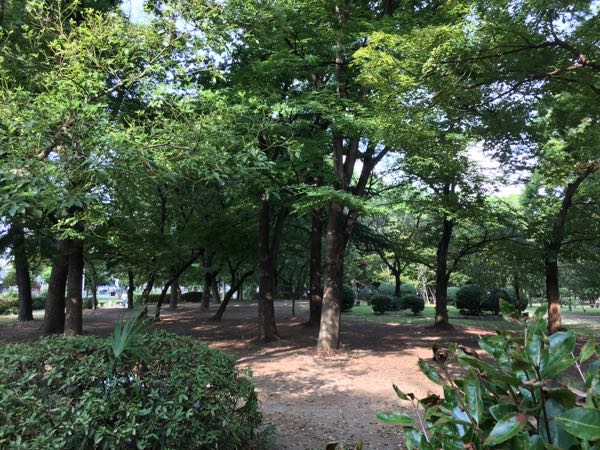 rblog-20170829午前91257-01.jpg