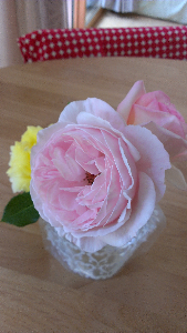 rblog-20130604123936-01.png