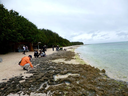 竹富島4.JPG