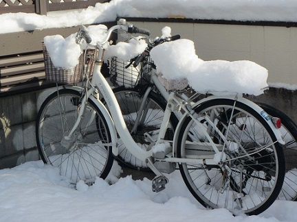 風４自転車.jpg