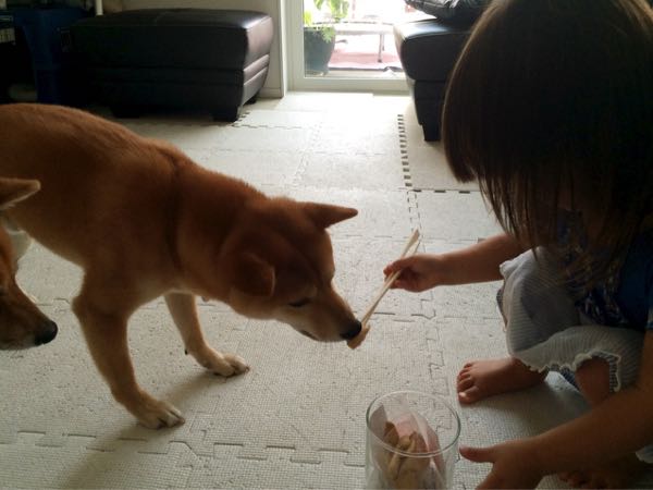 rblog-20160907112243-01.jpg
