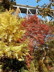 荒川キャンプ場