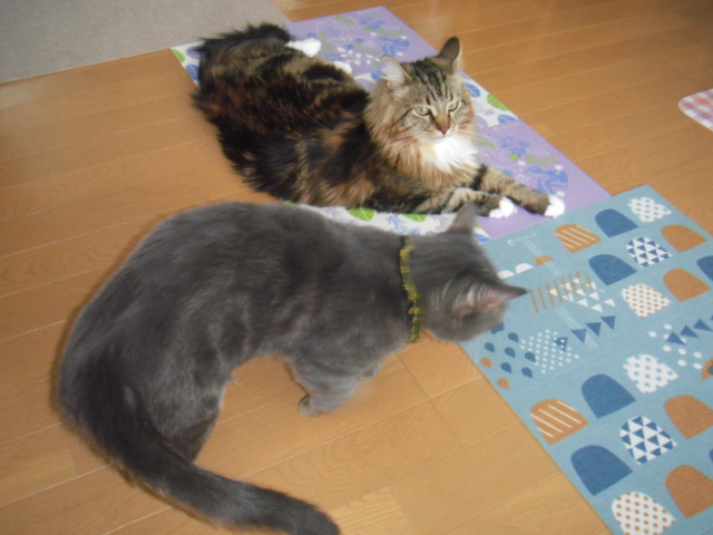 2016_03090015.JPG