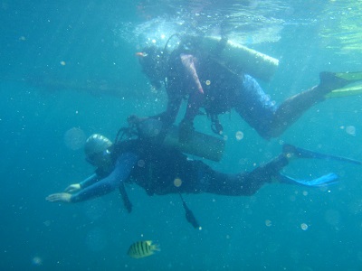 P1138587.JPG