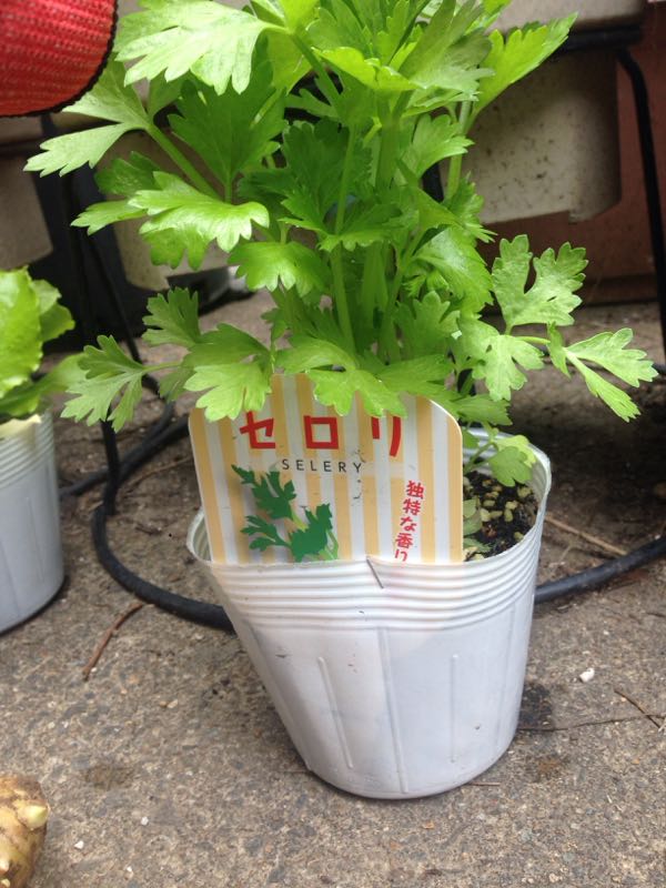 rblog-20160430112619-06.jpg