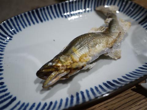 P1130282.jpg