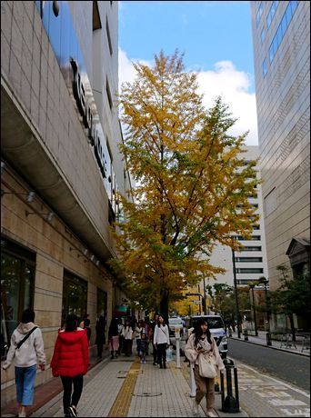 都会の街並みも晩秋の気配 12 1 Shige Happy の 気まぐれ写真日記 楽天ブログ