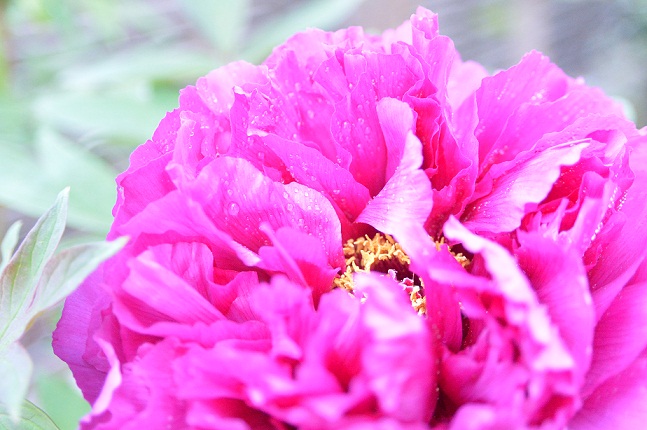 2015.4.29 026.JPG