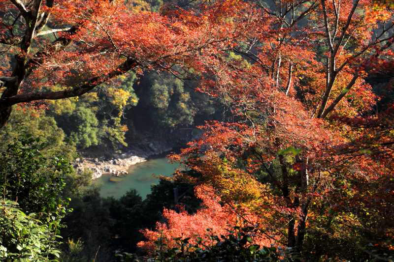 千光寺_009.jpg