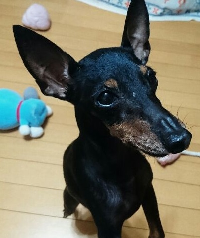 1504879099610.jpg