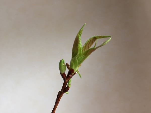 rblog-20160323175612-04.jpg