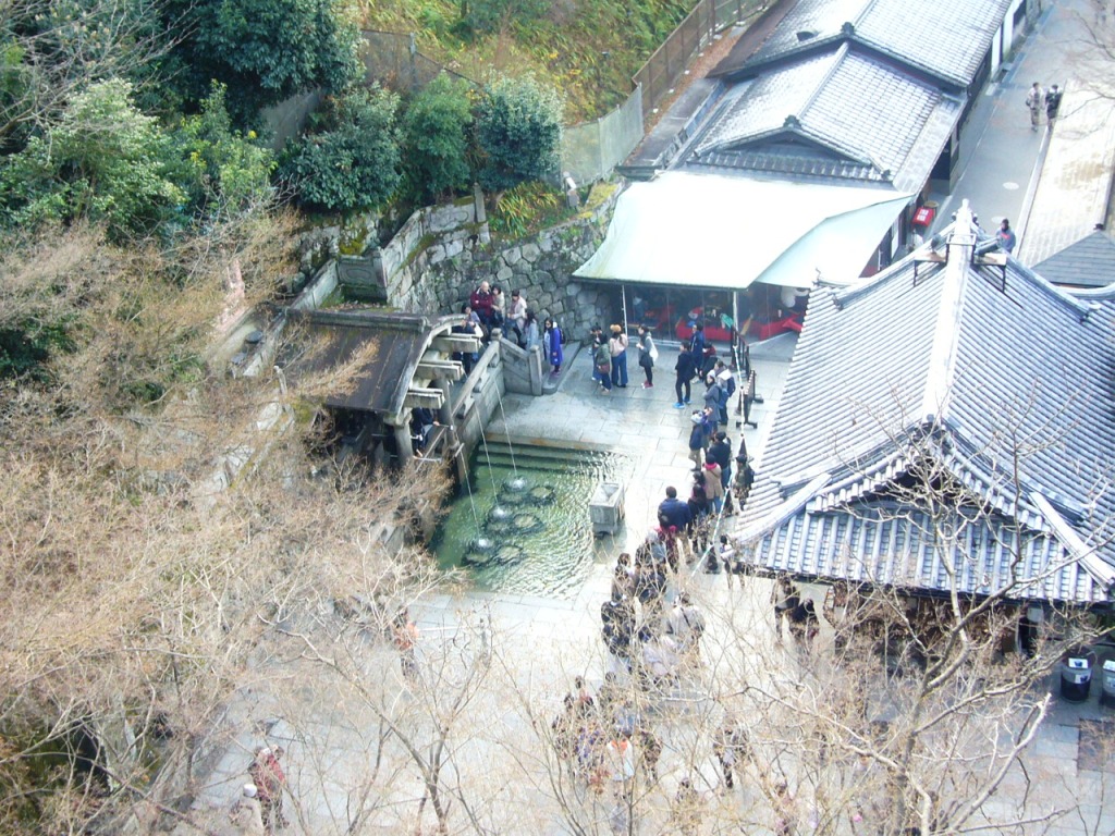 P1170263-.jpg