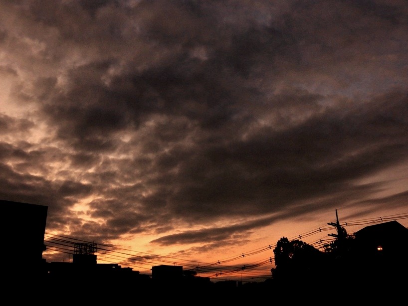 夕暮れ 5.JPG
