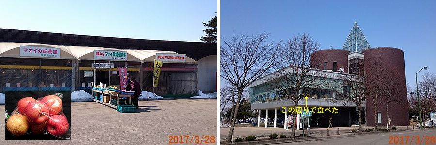 ３／２８マオイの丘公園にて.jpg