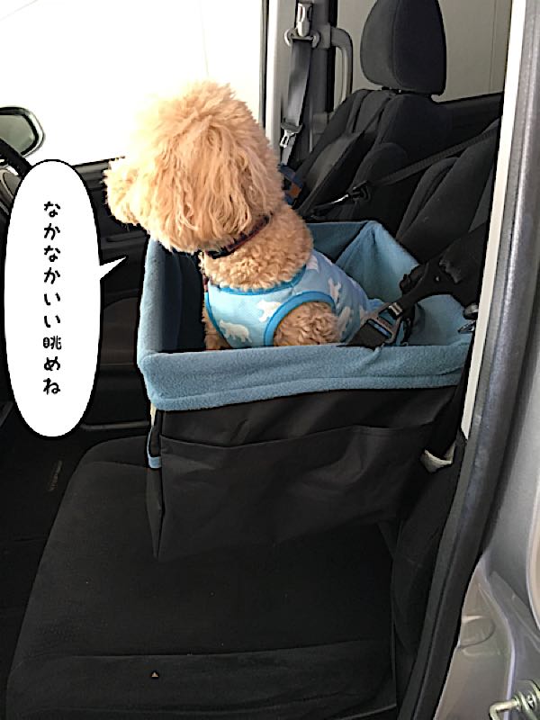rblog-20170617165518-04.jpg