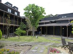 IMG_2167.jpg