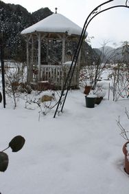 雪の庭５.jpg