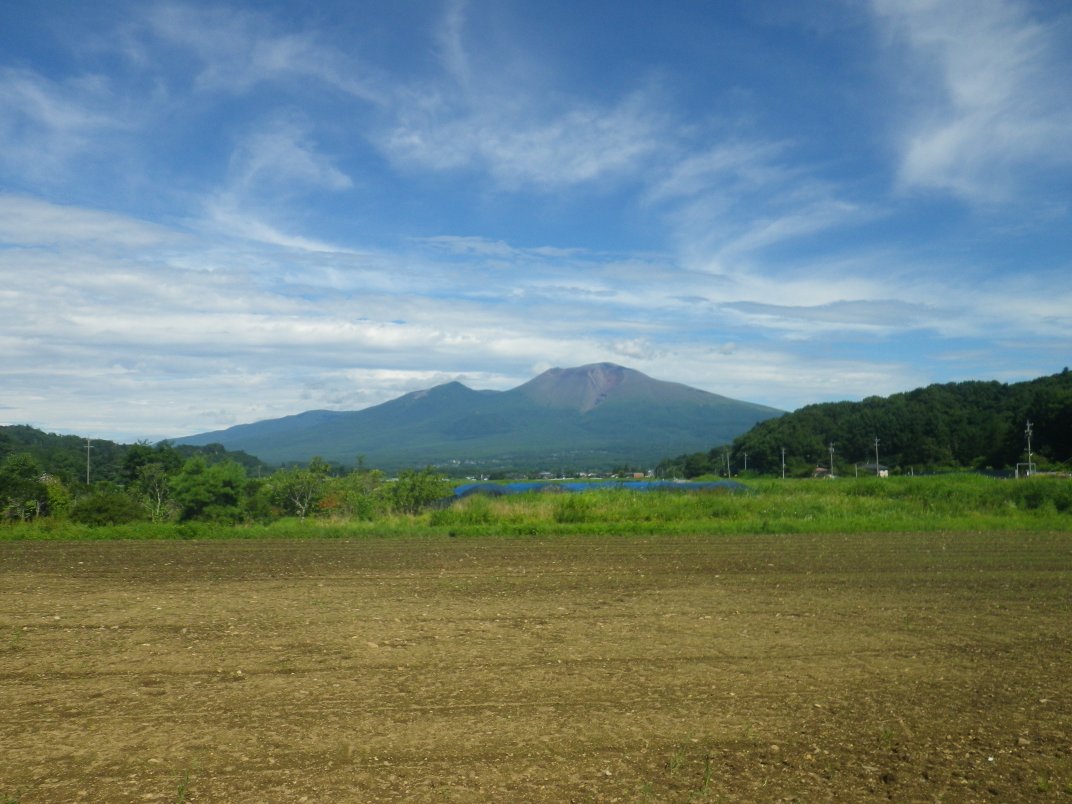 IMGP4454_1.JPG