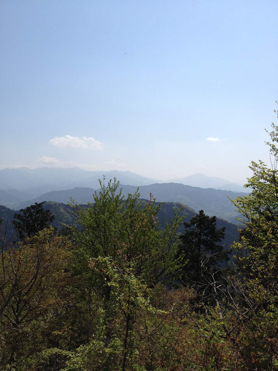 山頂からの景色