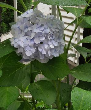 DSC01075.JPG
