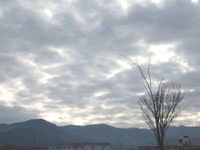 IMG_8687.JPG