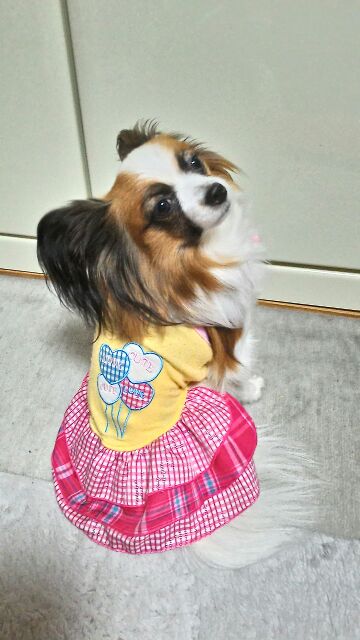 rblog-20141206211452-00.jpg