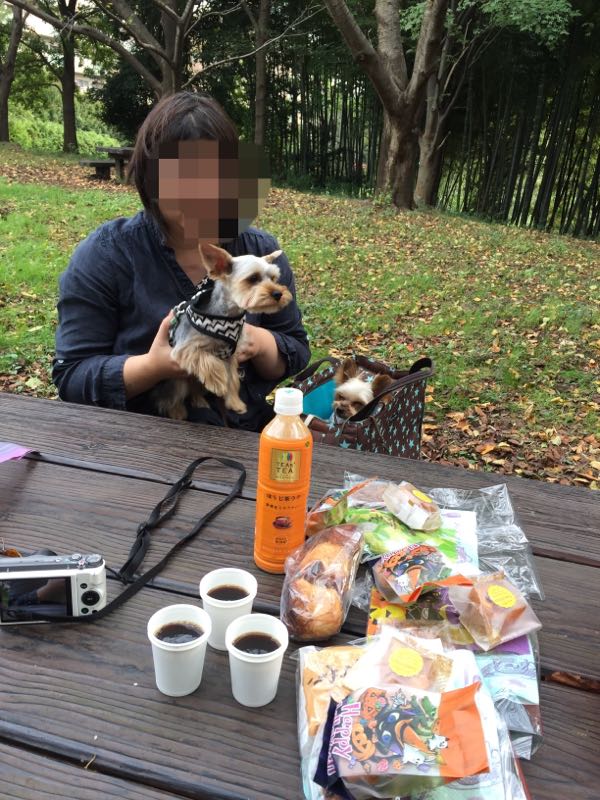 rblog-20161015010311-03.jpg