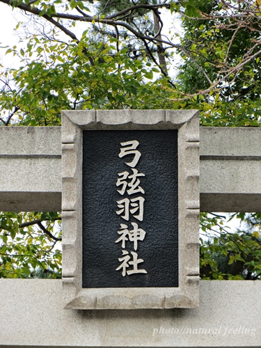 弓弦羽神社1鳥居.JPG