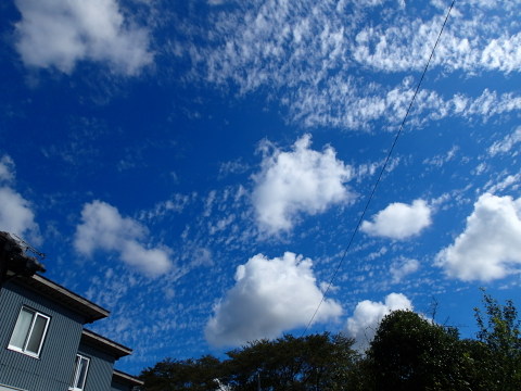 nitijou131021004