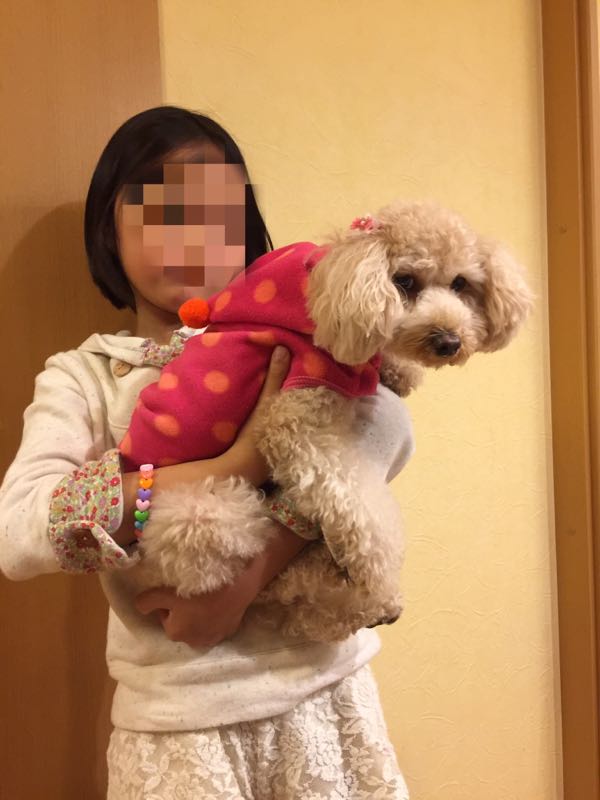 rblog-20151114213947-02.jpg