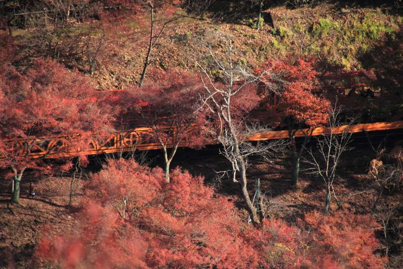 千光寺_006トロッコ.jpg