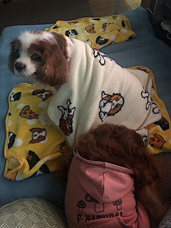 rblog-20180110220615-03.jpg