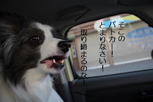 パトカー