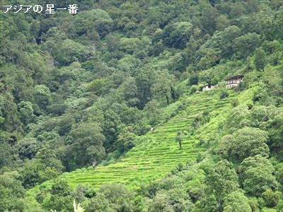 20160728 ポブジカ3