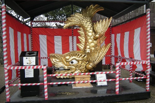 DSCN2546.JPG
