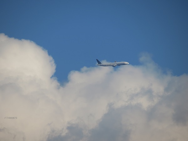 IMG_1403 - コピー - コピー.JPG