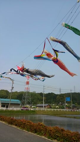 rblog-20140505004944-03.jpg