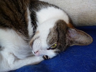 P1180048ss.jpg