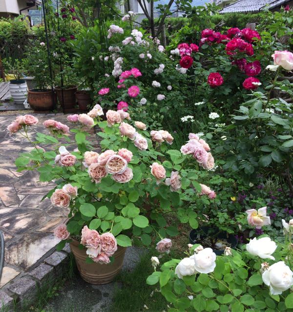 rblog-20170524233045-01.jpg