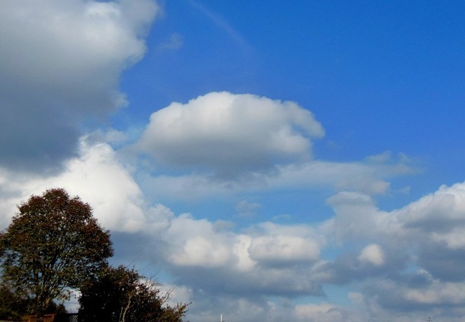 雲　6　130124.jpg