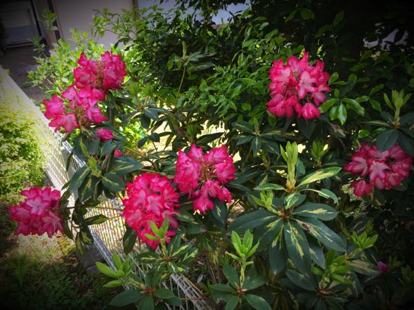 rblog-20150428203749-04.jpg