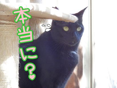 本当？.JPG