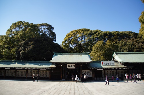 DSC09007.JPG