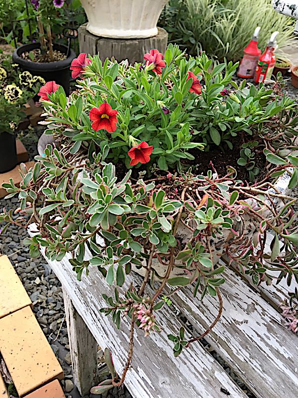 rblog-20170727180945-06.jpg