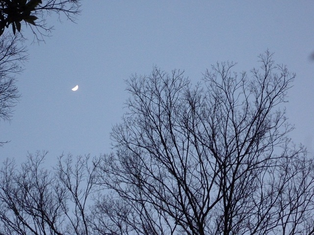 2春の夕暮れ.jpg