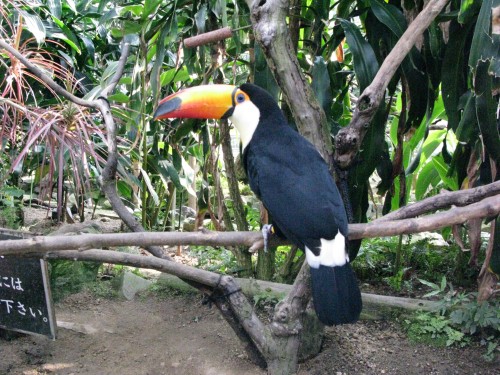 IMG_3418.JPG