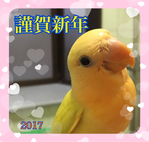 rblog-20170101112932-02.jpg