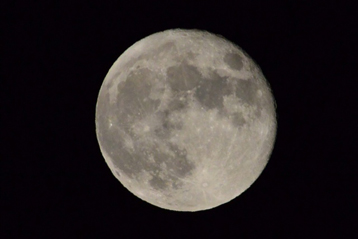 m10.jpg