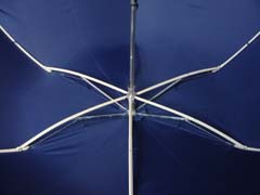 Photo_3