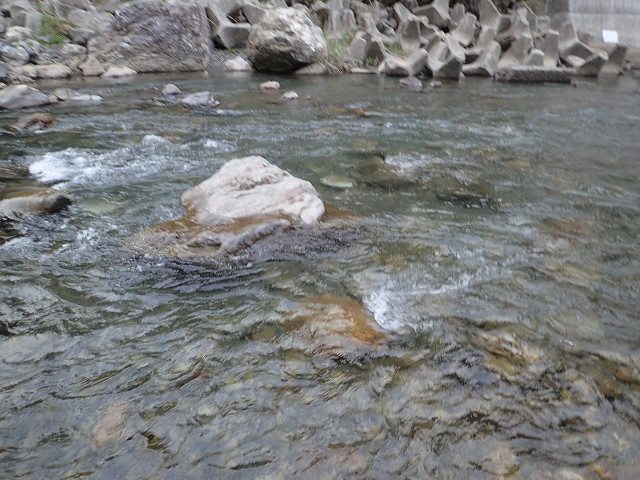 resize0005.jpg